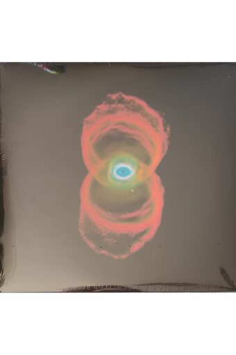 PEARL JAM/BINAURAL LP (2 PLAK)