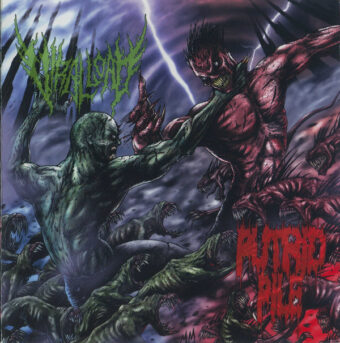 Viral Load - Putrid Pile CD