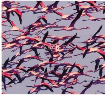 GORE Deftones - Gore (CD (Album)