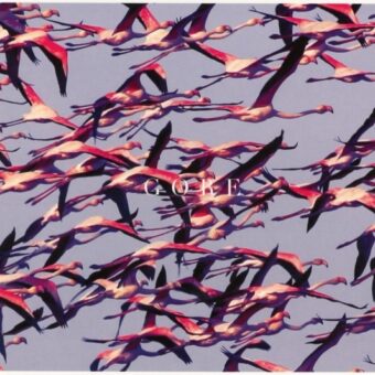 Deftones – Gore (CD (Album)